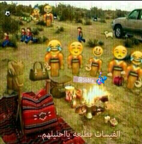 واتس اب